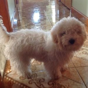 Meet your Posher, Yasmin